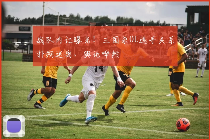 战队内讧曝光！三国杀OL选手关系扑朔迷离，舆论哗然